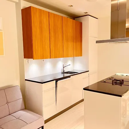 Apartamento Punavuori 40m2 Entire Flat
